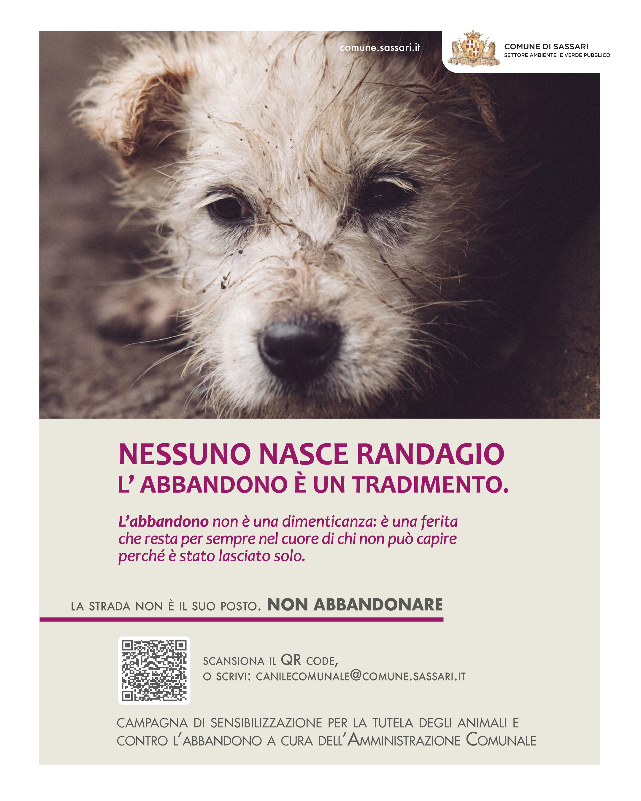 Una delle immagini della campagna di comunicazione sull'abbandono