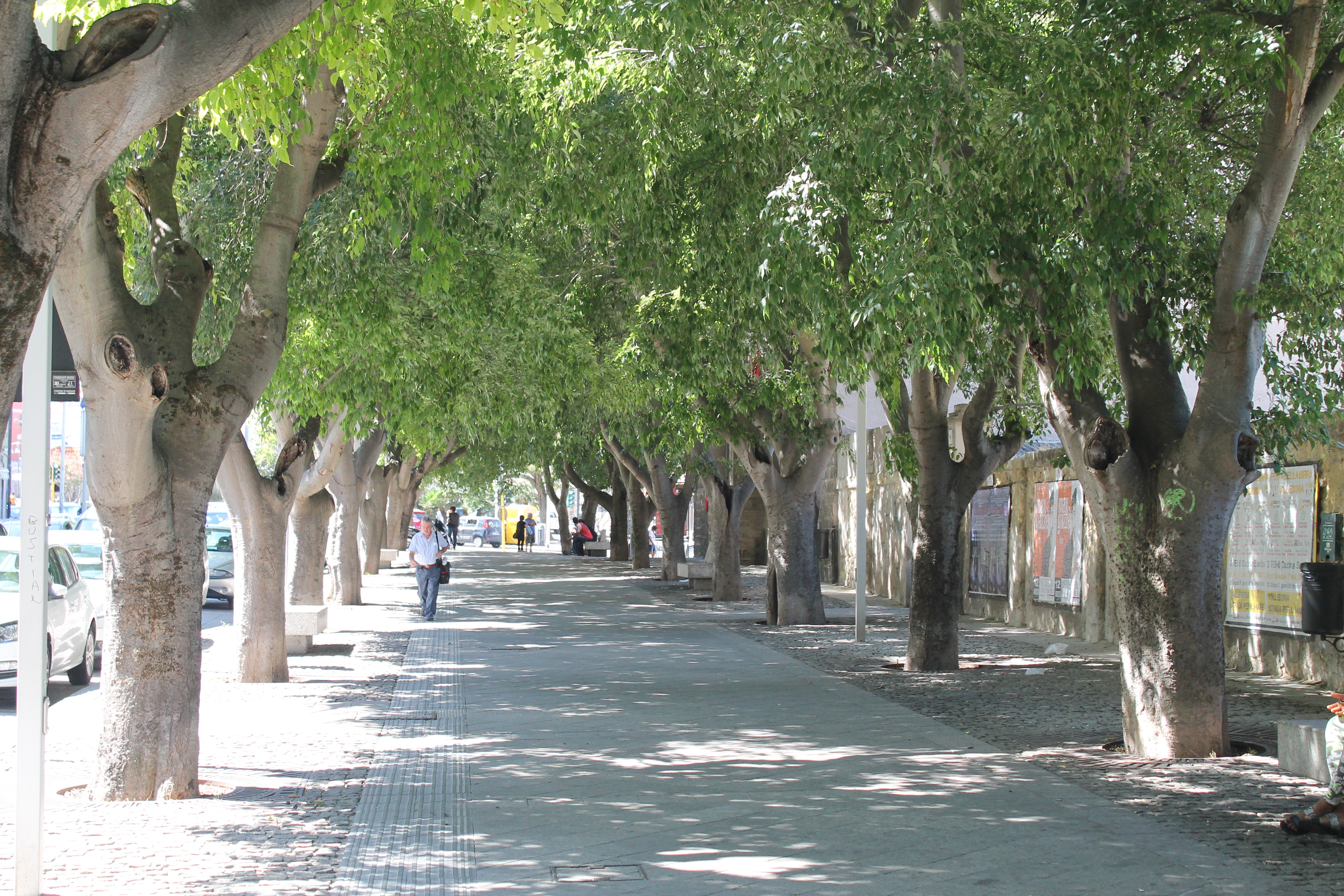 Corso Vico
