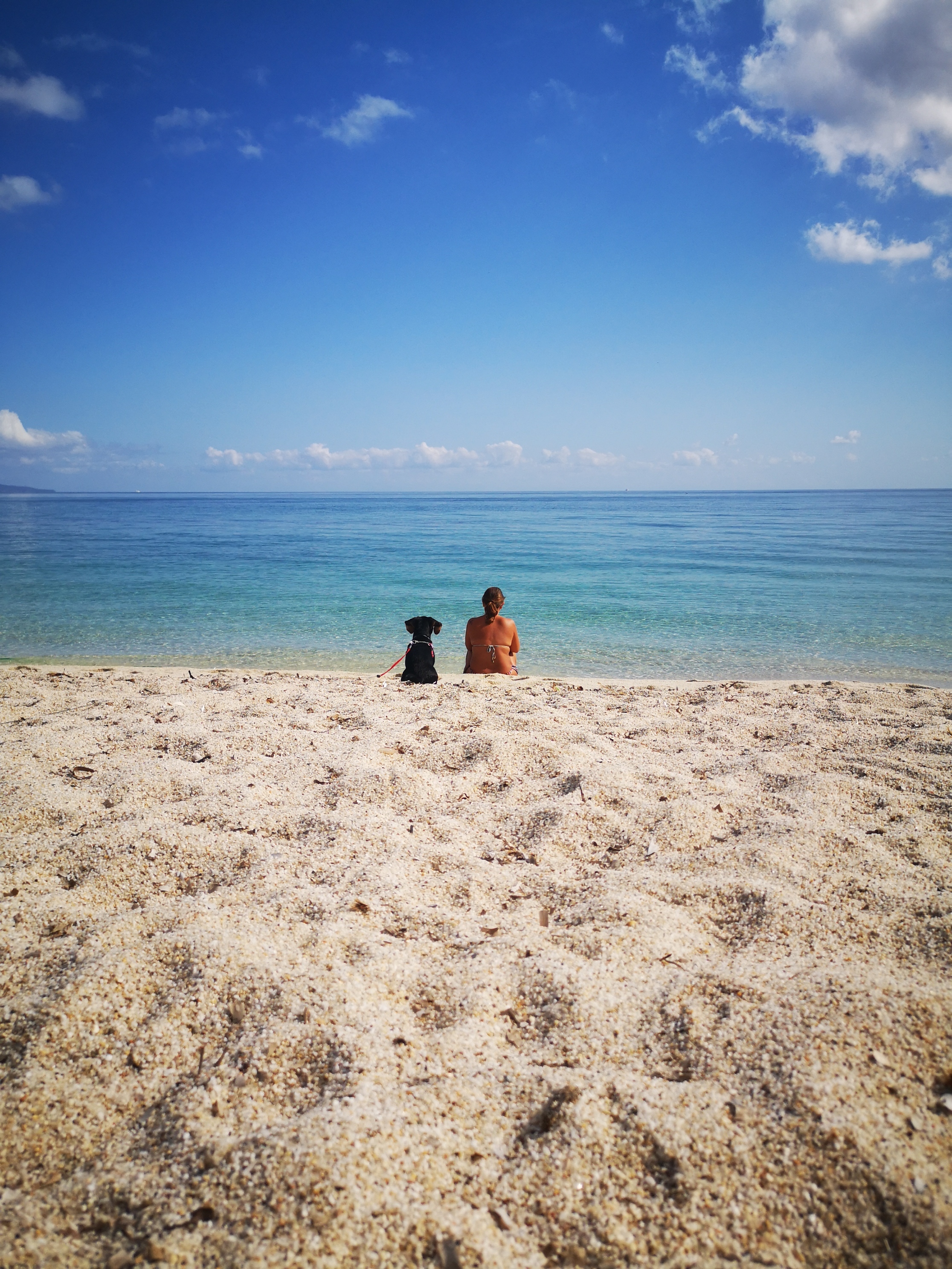 Spiaggia cani