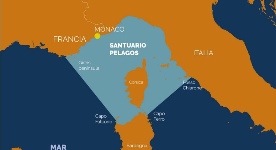 Mappa del territorio interessato dal progetto Mappa del territorio interessato dal progetto